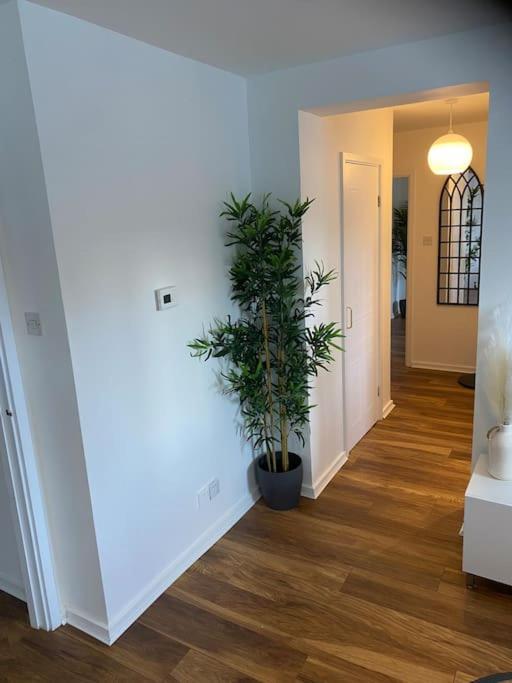 Perfectly Situated Luxury 2 Bedroom Apartment Glasgow Kültér fotó